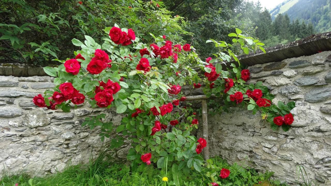 Ferienwohnung Moersbachblick Donnersbachwald Exterior foto